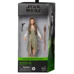 (IN STOCK) HASBRO F4352 Star Wars TBS 6 Inch Scale Princess Leia (Ewok Village)